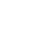 pas-pol logo